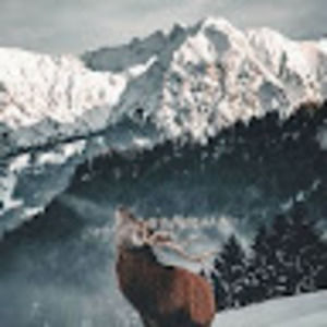 Meet your Posher, Iryna